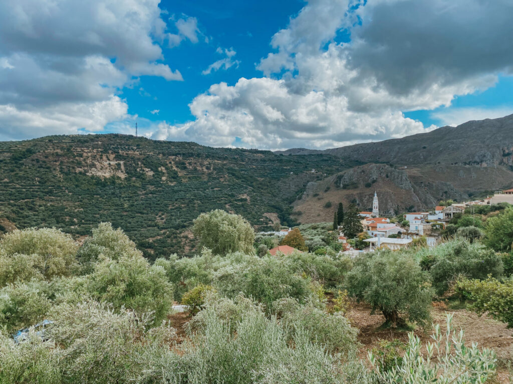 481CCF81 E74E 4BD9 8EDD A1CF627191B4