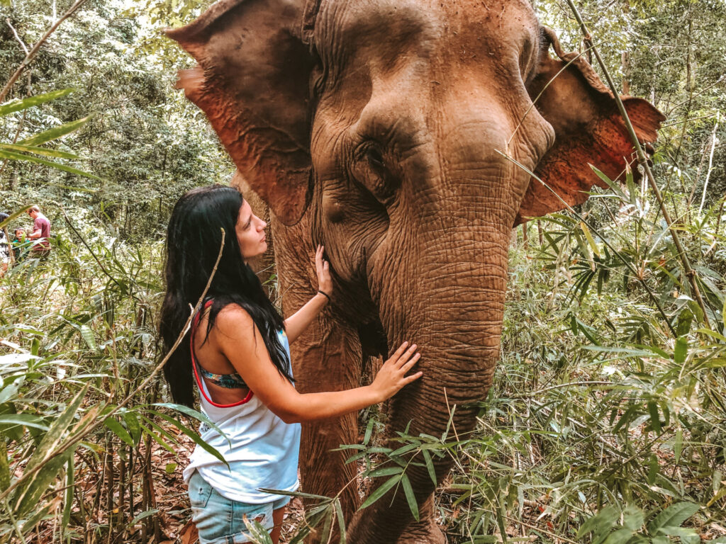 Travel Guides 46 A10191E5 73FF 4F7A B523 B9AB76F07DE9