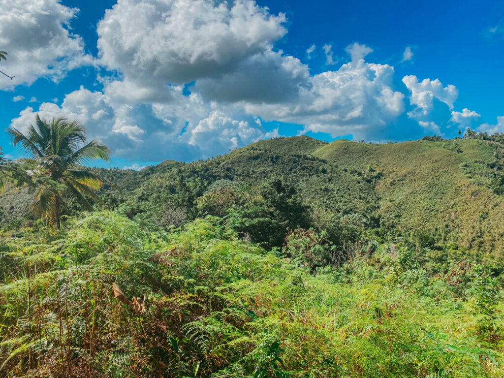 2530A1BF D38E 4E13 85AA 239743F9FF60