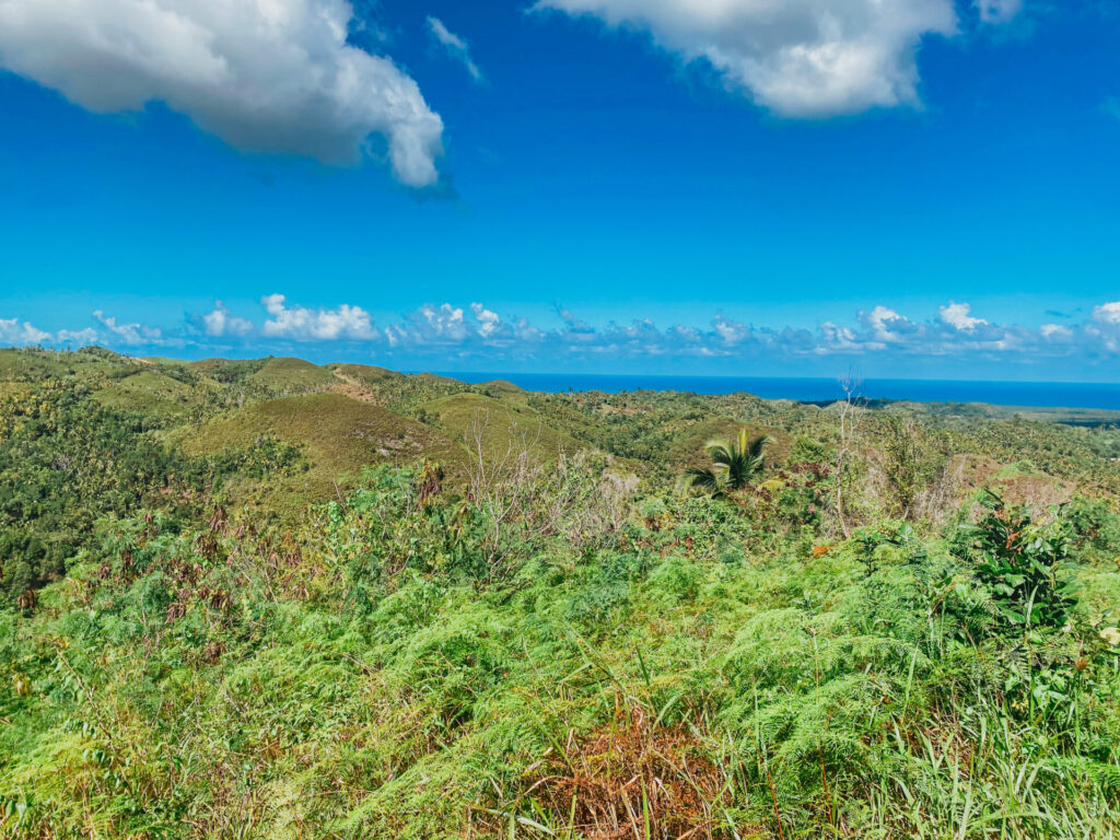 9169F441 E148 462E BCFE FEA44742FE47