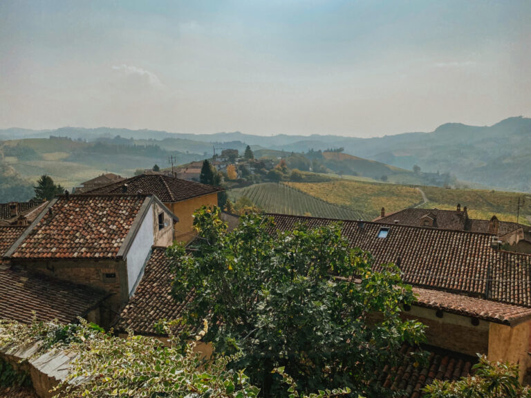 7 Things I Wish I Knew Before Moving to Italy 18 vineyards in italy