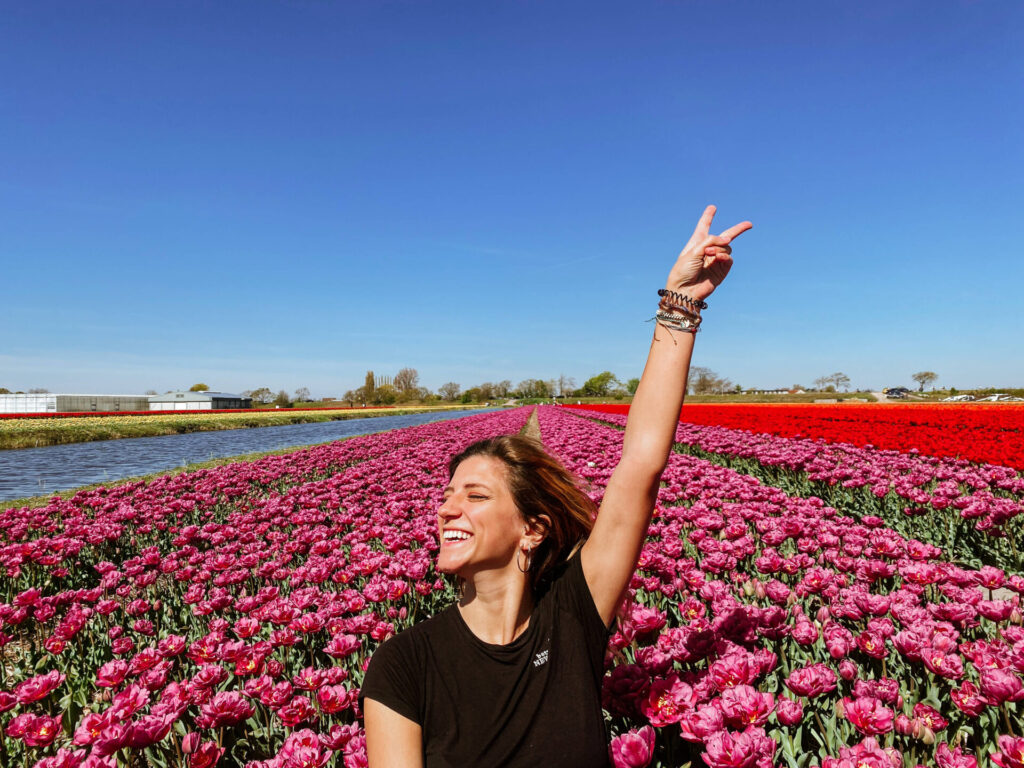 The Ultimate Guide to Visiting Tulip Fields in the Netherlands 10 0B5823D8 C11D 4D25 9CB7 E6CF07AA58FC 1