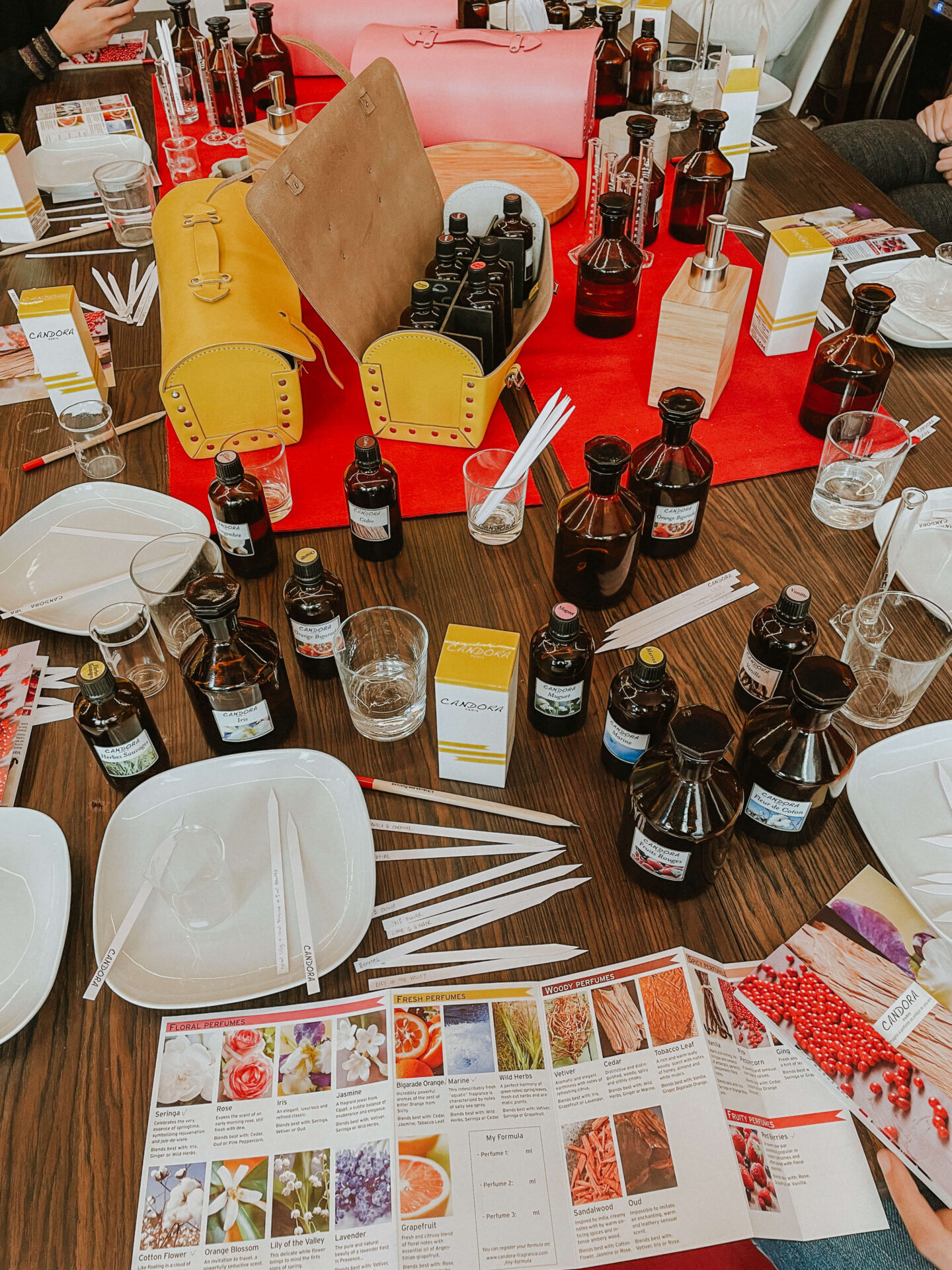 B48DCE53 7EA4 4A29 B41B 1503432E668E