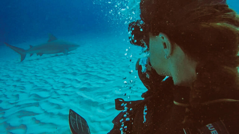 girl diving with bull sharks mexico