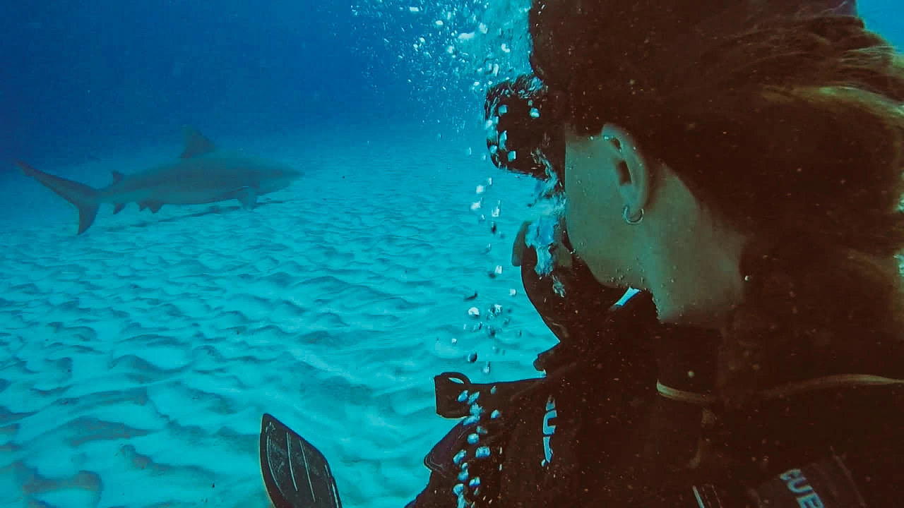 girl diving with bull sharks mexico