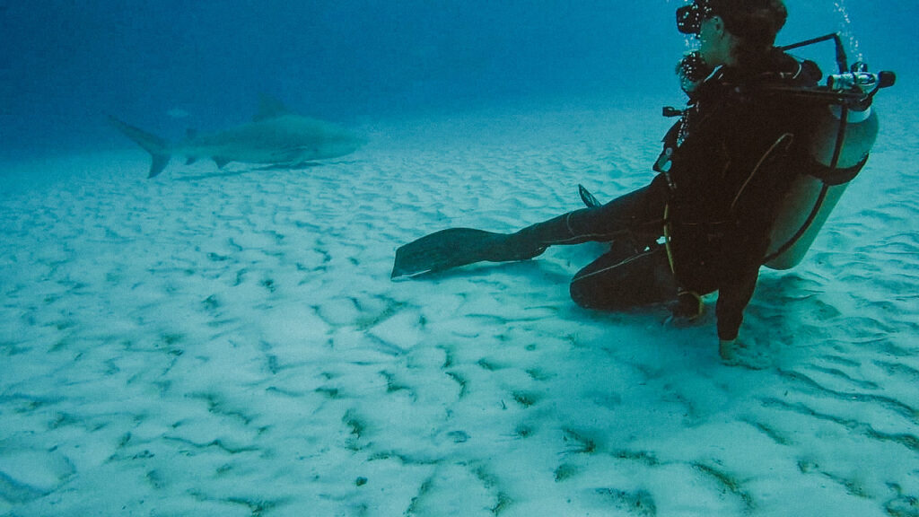 girl diving underwater with bull shark in playa del carmen, mexico